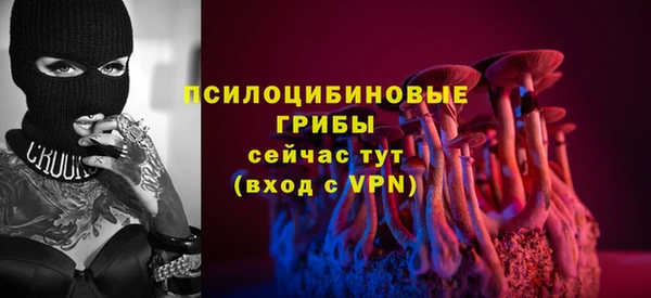 трава Губаха