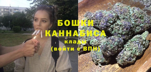 стафф Медногорск