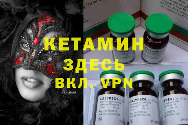 трава Губаха