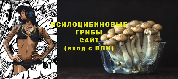 ГАЛЛЮЦИНОГЕННЫЕ ГРИБЫ Мегион