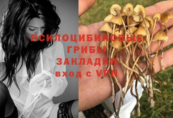 ALPHA-PVP Медвежьегорск