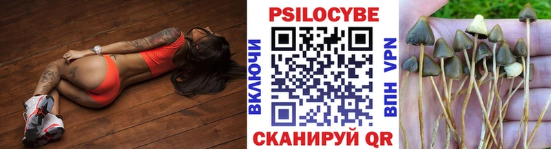 Псилоцибиновые грибы прущие грибы  Лобня 