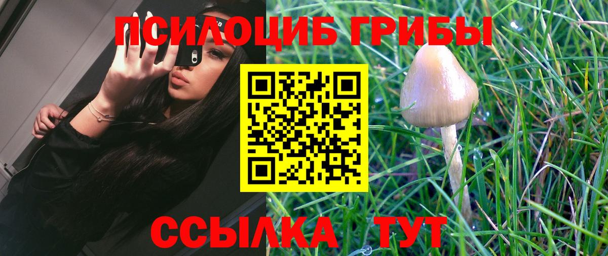 Лобня  Псилоцибиновые грибы MAGIC MUSHROOMS  Вход с VPN 