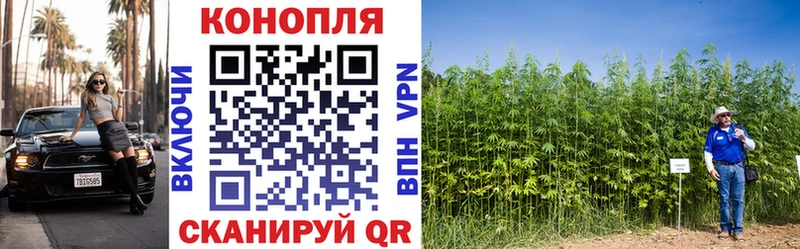 Канабис гибрид  Лобня 